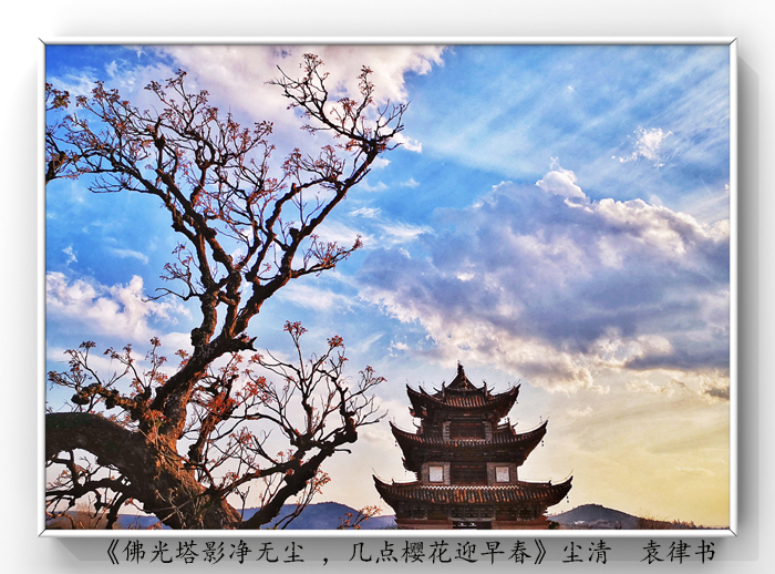 025《佛光塔影凈無(wú)塵 ，幾點(diǎn)櫻花迎早春》.jpg